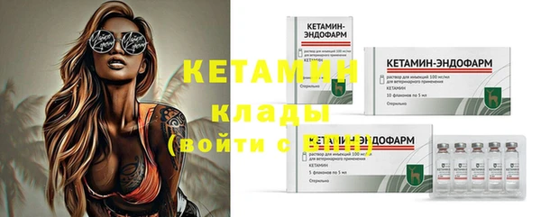 гашик Пестово