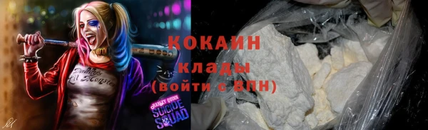 кокс Баксан