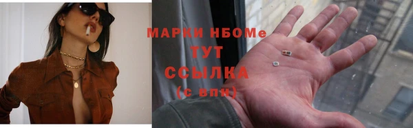 гашик Пестово