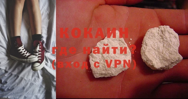 гашик Пестово