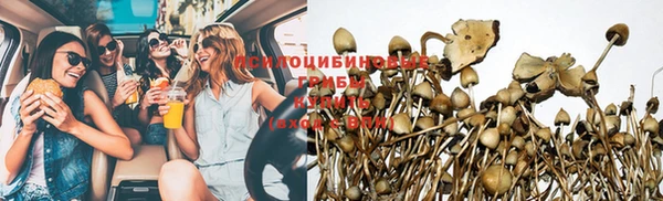 гашик Пестово