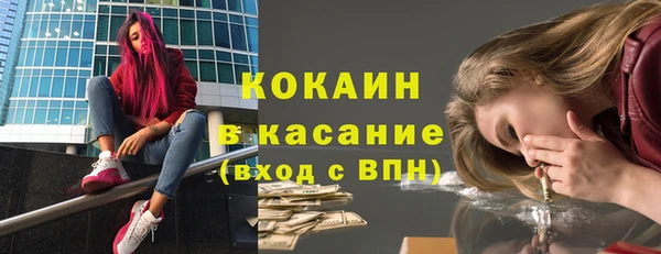 гашик Пестово