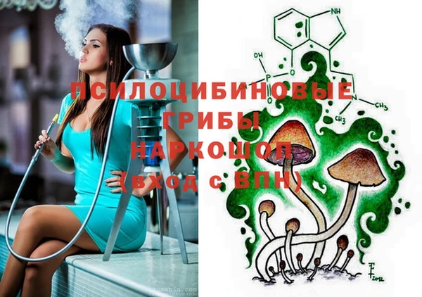 spice Пересвет