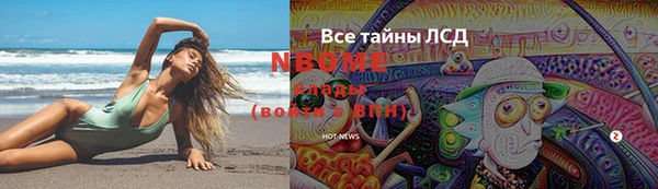 шишки Балахна